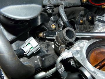 ss-P1060563.jpg