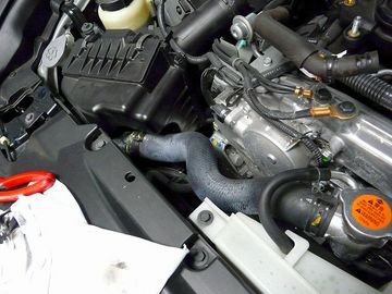 ss-P1060568.jpg