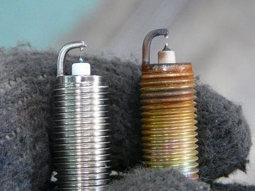 ss-P1060572.jpg
