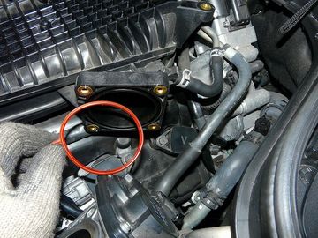 ss-P1060574.jpg