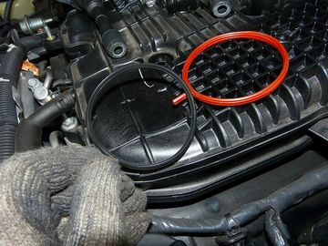 ss-P1060575.jpg