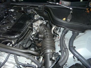 ss-P1060577.jpg