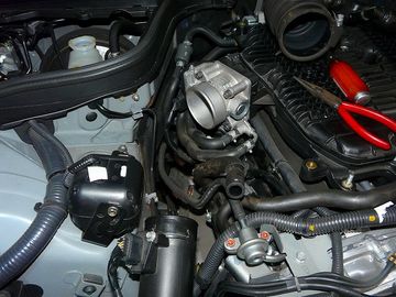 ss-P1060578.jpg