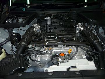ss-P1060579.jpg