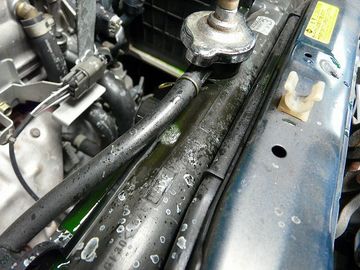 ss-P1060896.jpg