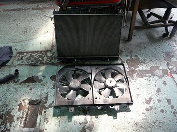 ss-P1060943.jpg