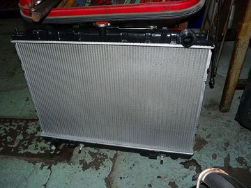 ss-P1060946.jpg