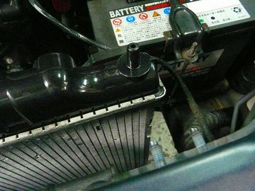 ss-P1060948.jpg