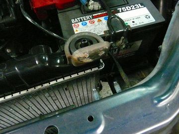 ss-P1060949.jpg