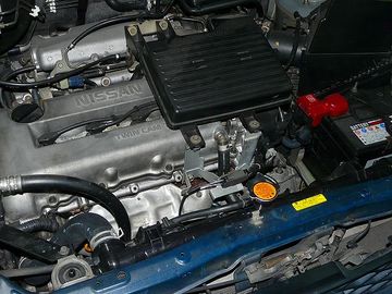 ss-P1060954.jpg