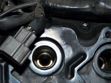 ss-P1070263.jpg