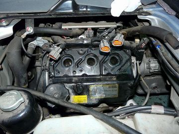 ss-P1070268.jpg