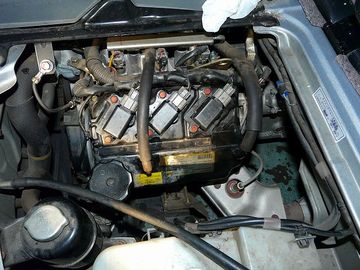 ss-P1070274.jpg