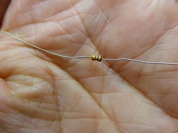 ss-P1080395.jpg