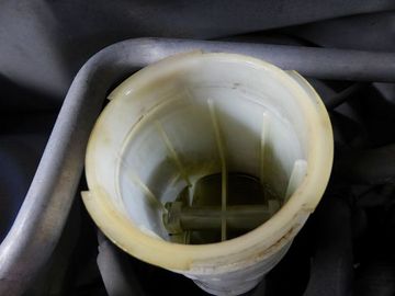 ss-P1080544.jpg