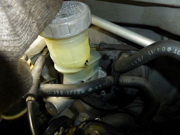 ss-P1080563.jpg