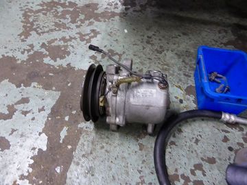 ss-P1080724.jpg