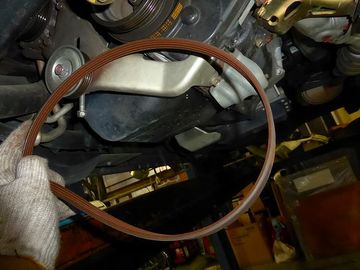 ss-P1080774.jpg
