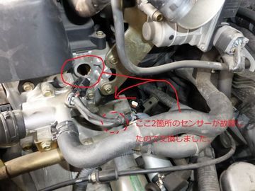 ss-P1080856.jpg