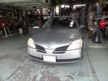 ss-P1080955.jpg