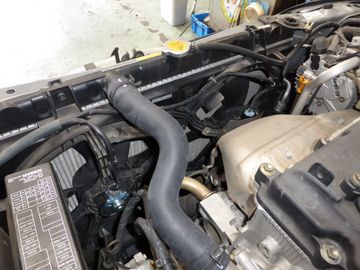 ss-P1090044.jpg