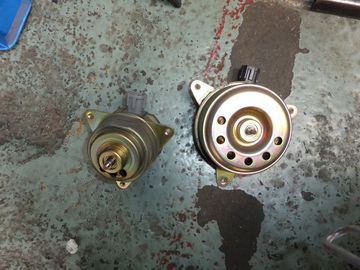 ss-P1090046.jpg