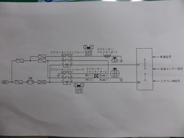 ss-P1090048.jpg