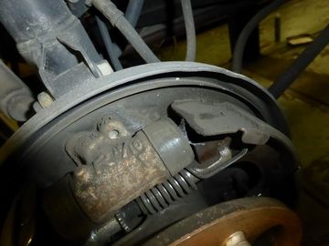 ss-P1090186.jpg