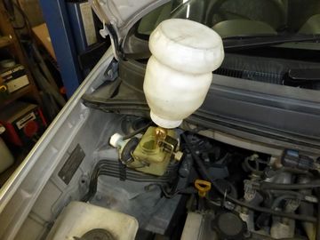 ss-P1090257.jpg