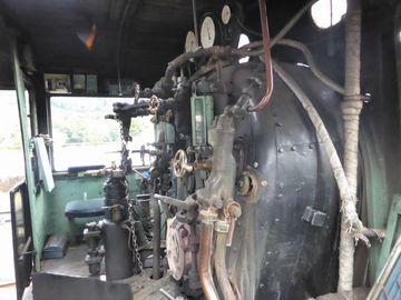 ss-P1090338.jpg