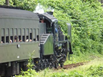 ss-P1090364.jpg