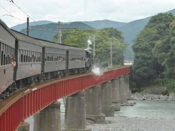 ss-P1090368.jpg