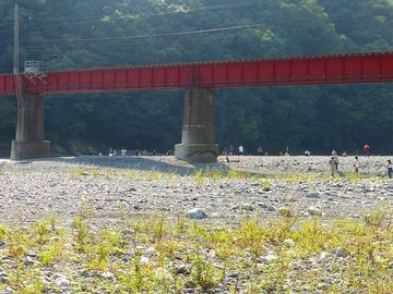 ss-P1090589.jpg