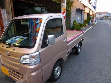 ss-P1090639.jpg