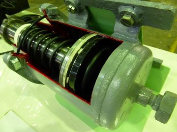 ss-P1090990.jpg