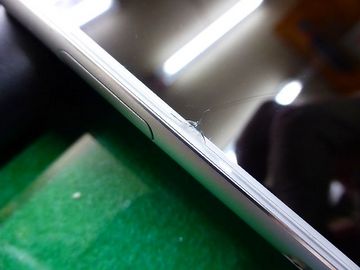 ss-P1100368.jpg