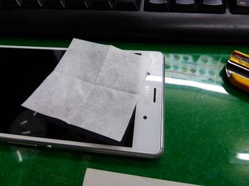 ss-P1100380.jpg