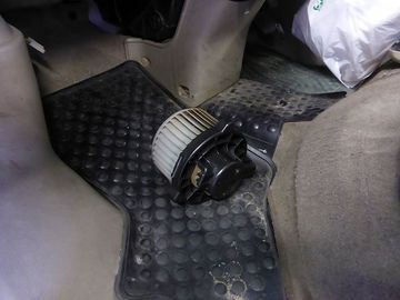ss-P1110155.jpg