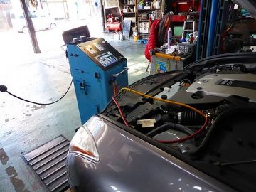 ss-P1110159.jpg