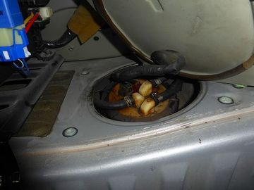ss-P1110811.jpg
