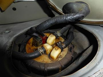 ss-P1110812.jpg
