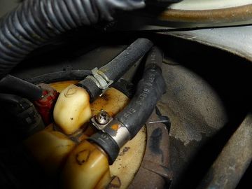 ss-P1110813.jpg