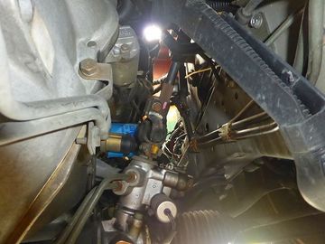 ss-P1110816.jpg