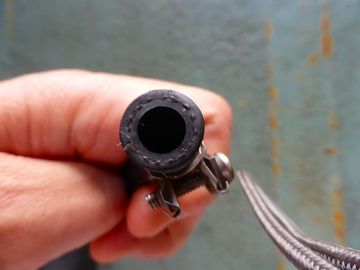 ss-P1110881.jpg