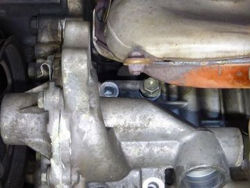 ss-P1140209.jpg