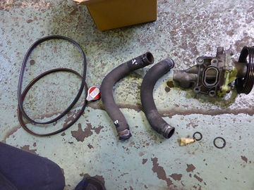 ss-P1140226.jpg