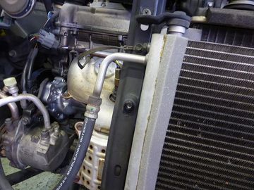 ss-P1140228.jpg