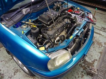 ss-P1140487.jpg