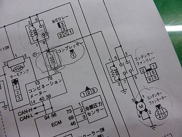 ss-P1140659.jpg