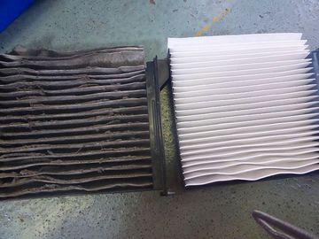 ss-P1150083.jpg
